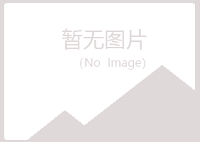 虞城县冰夏咨询有限公司